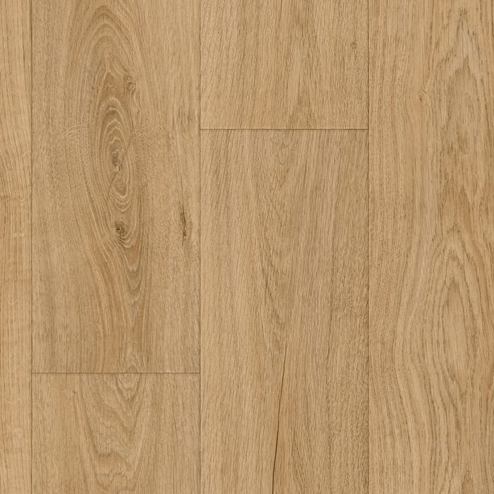 Tex Elm -  Hout
