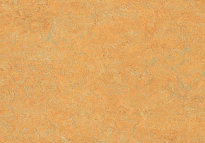 Marmoleum Fresco 2.0 - Golden Saffron 