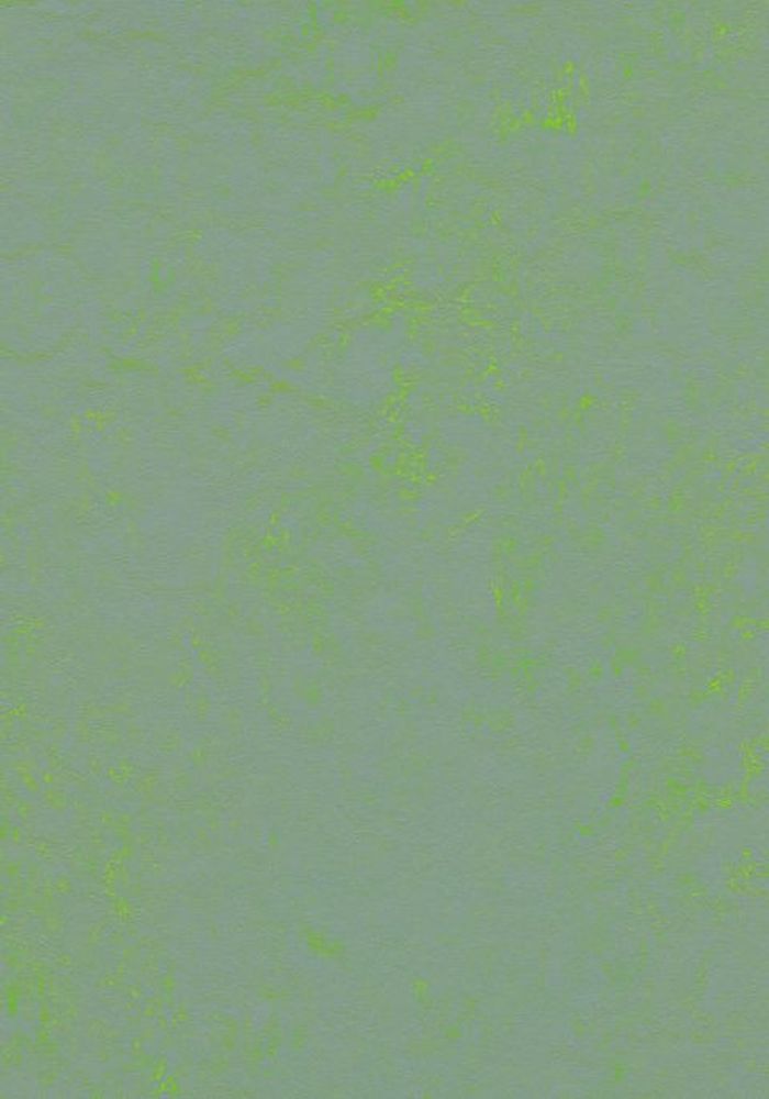 Marmoleum Concrete  - Green shimmer 
