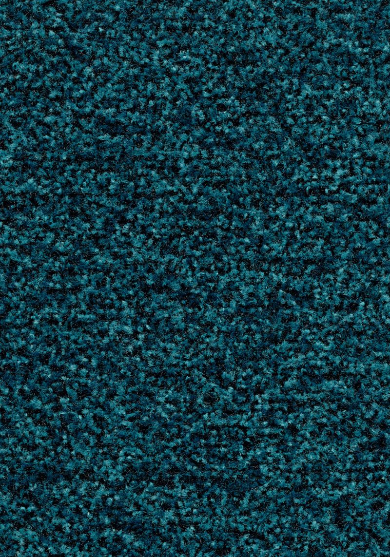Coral Brush  - Bondi blue 