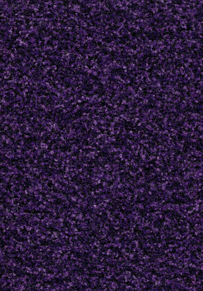 Coral Brush  - Royal purple 